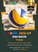 VI BOSiR Arena...